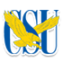 西弗吉尼亚大学