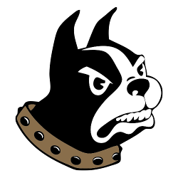 联邦大学斗牛犬