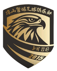 遂宁队